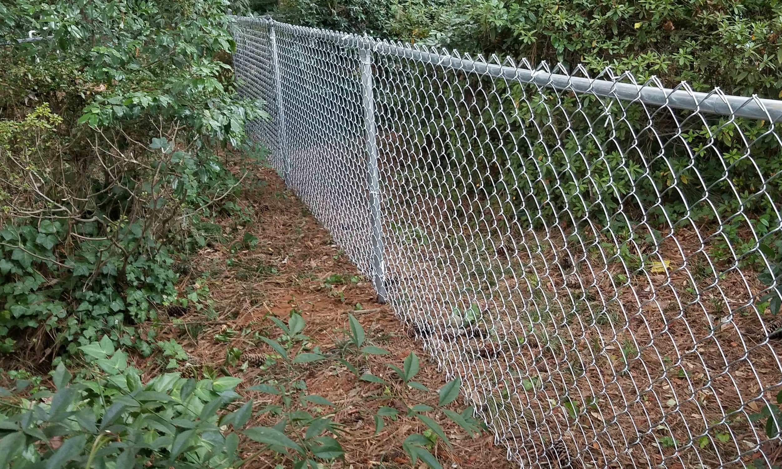 Galvanized Chain-Link Fence.jpg