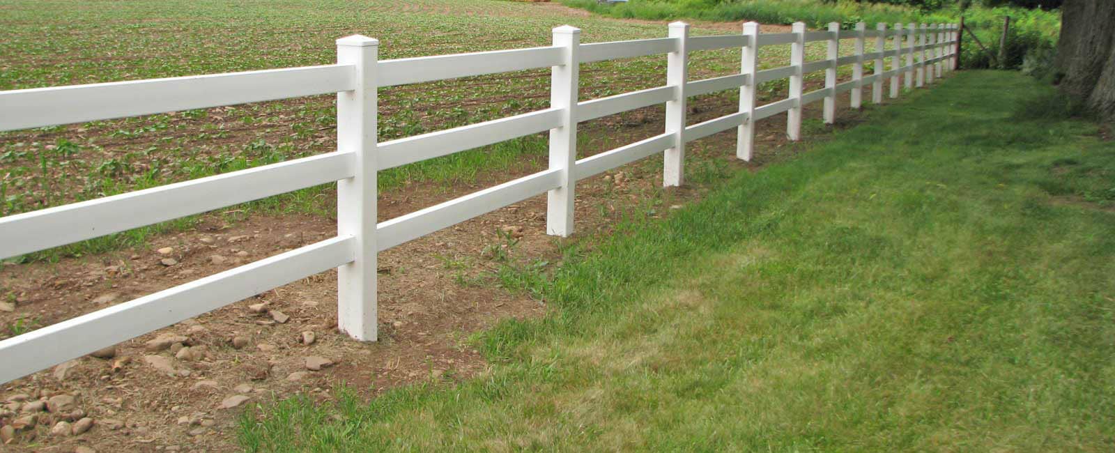 SDF 3-Rail-vinyl-horse-fence.jpg