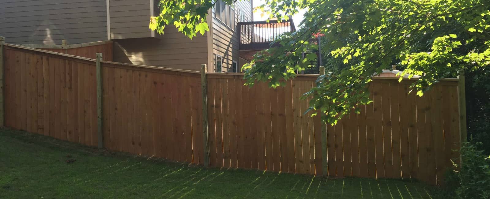 SDF - Capped Privacy Fence 1.jpg