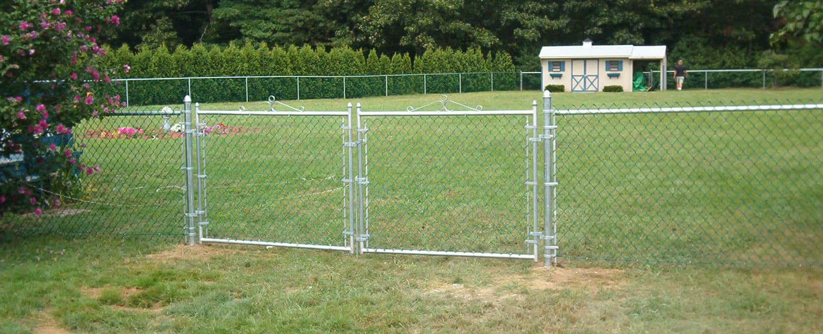 SDF - Chain link 2.jpg