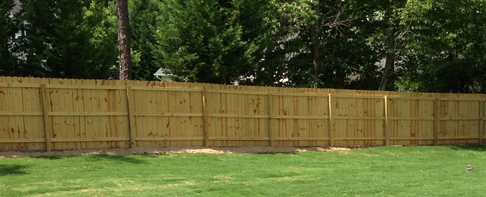 SDF -Privacy Fence 2.jpg