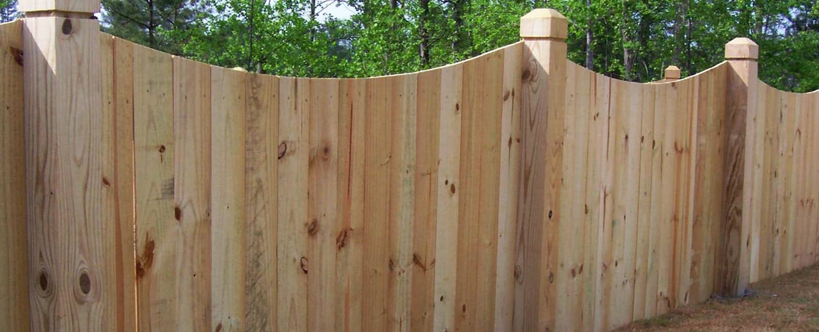 SDF - Scalloped Fence 2.jpg