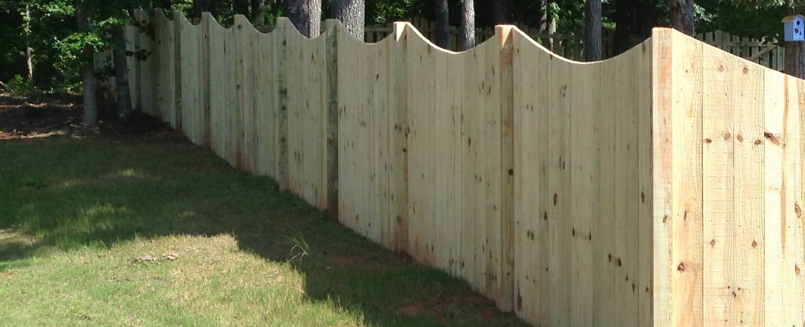 SDF - Scalloped Fence 3.jpg