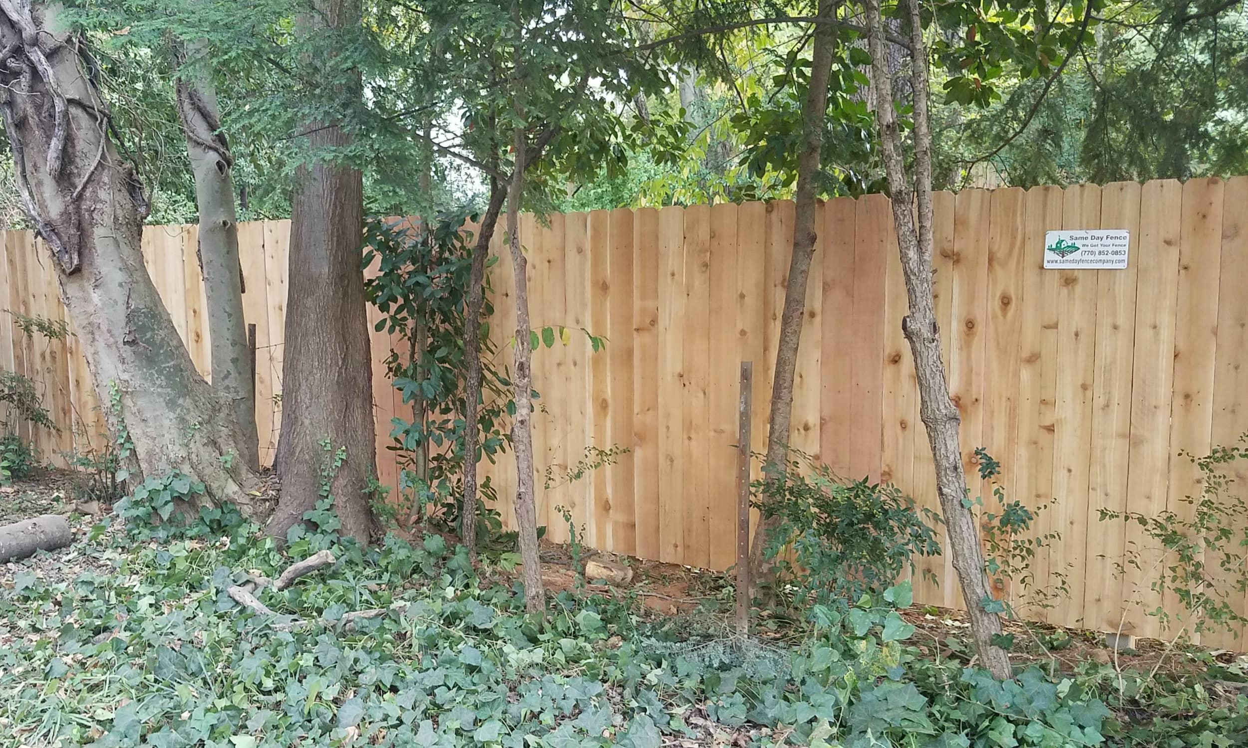 Cedar Wood Fence.jpg