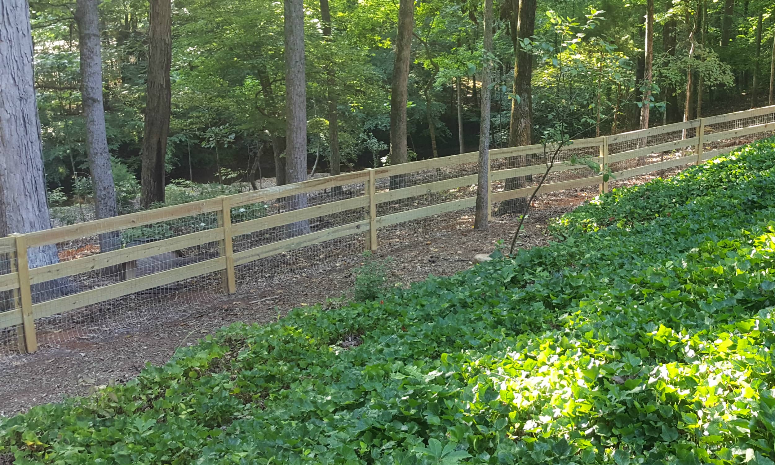 Rail Fence with Wire 2.jpg