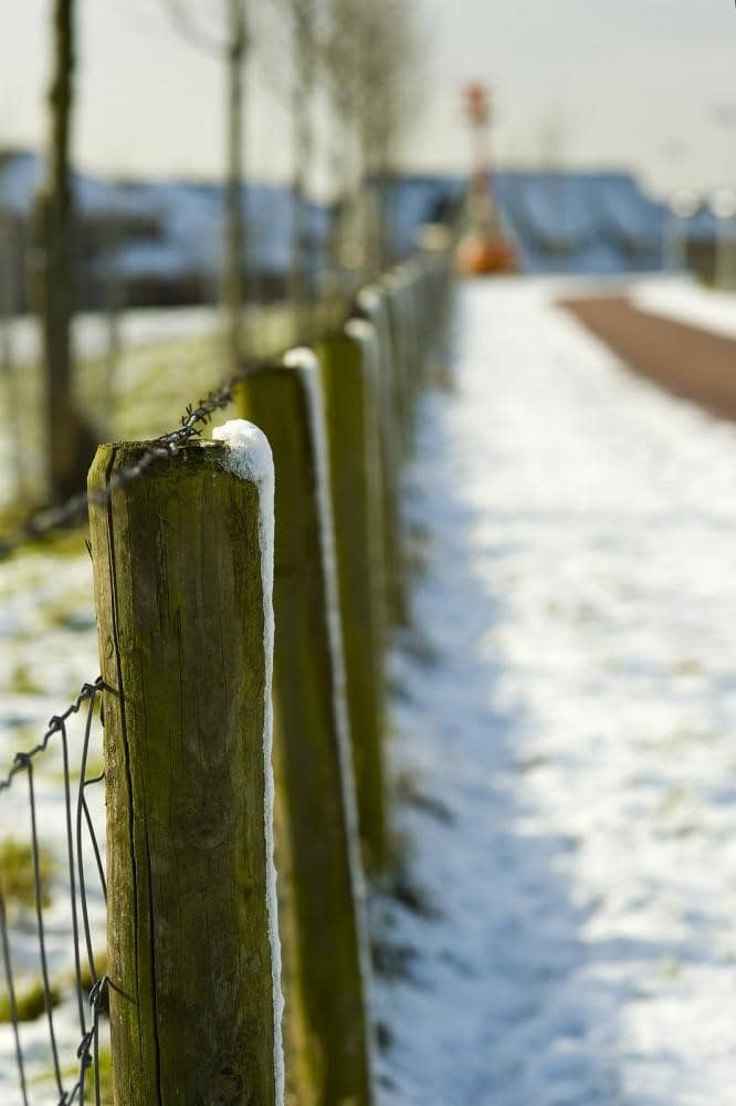 How Winter Affects Your Fence