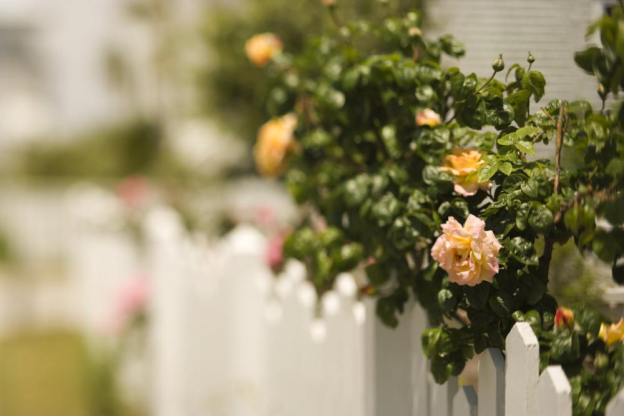 fence repairs