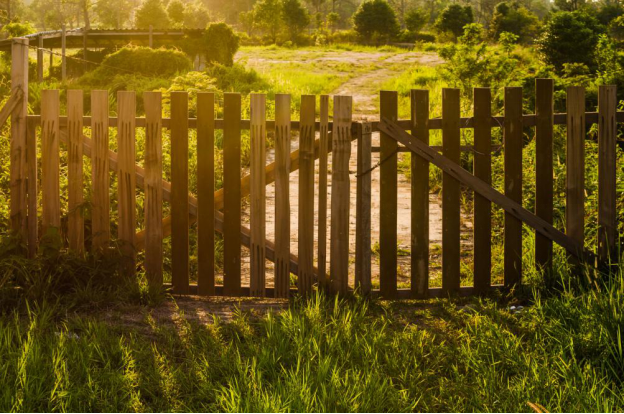 wooden fences