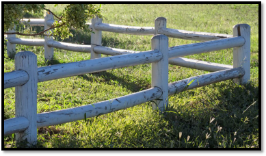 wooden horse fence