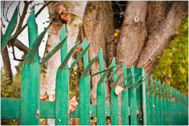 painting fence