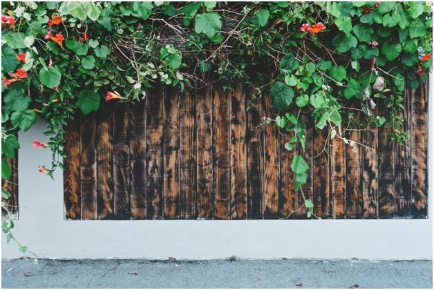 fencing yard